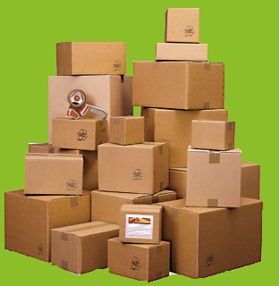 Plain & Printed Carton Box